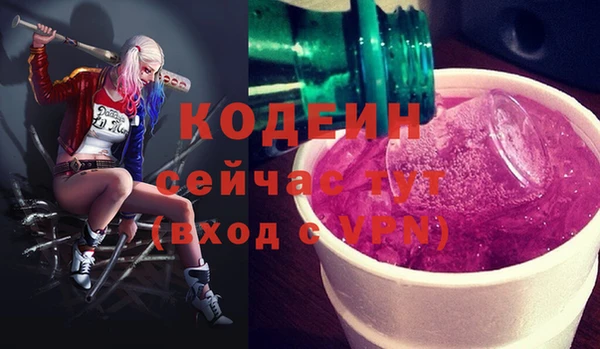 гашик Балахна